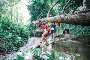 BIB: 
                            <button type="button" onclick="openModal(25434529)" class="btn btn-primary btn-sm float-right btn-popup" data-toggle="modal" data-target=".modal-high-quality">
                        <i class="fas fa-shopping-cart"></i> Add to Cart
                    </button>
                                            <button type="button" onclick="isThisMe(25434529, true)" class="btn btn-success btn-sm float-right btn-popup btn-isme hidden" data-toggle="tooltip" data-placement="bottom" title="นี่คือรูปของคุณใช่ไหม คลิกที่นี่เพื่อเอาเข้าอัลบั้ม">
                        <i class="fas fa-plus"></i> Add to album
                    </button>
                    <button type="button" onclick="isThisMe(25434529, false)" class="btn btn-warning btn-sm float-right btn-popup btn-isnotme hidden">
                        <i class="fas fa-ban"></i> Remove from album
                    </button>